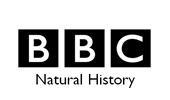 BBC natural history Clients